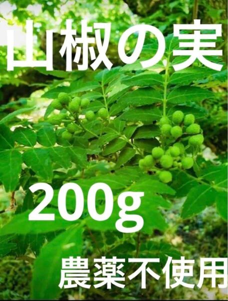 山椒の実 農薬不使用 200g