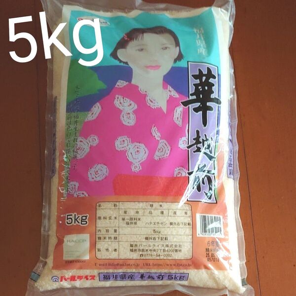 令和6年 5kg 福井県産 精米 華越前 ハナエチゼン【2025年5月中旬 精米】