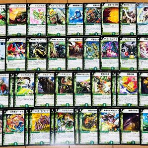 デュエマ 自然文明 初期カード 40枚まとめ売り