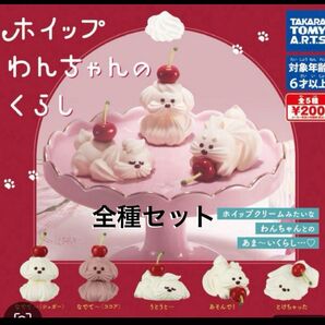 ホイップわんちゃんのくらし全5種 コンプリート ガチャ
