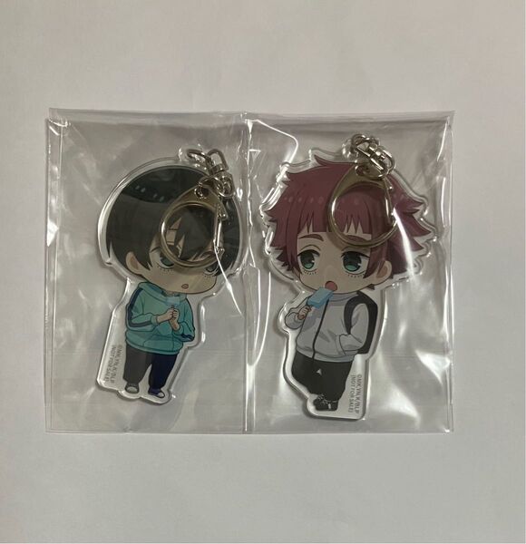 ブルーロック アニメイト限定 ブルーレイ全巻購入特典 アクリルキーホルダー 2点セット 糸師凛 糸師冴 Blu-ray アクキー