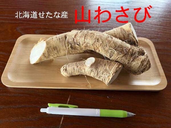 北海道産山わさび300g以上〜500g未満no5