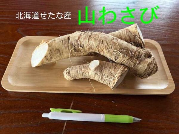 北海道産山わさび500g以上〜700g未満no1