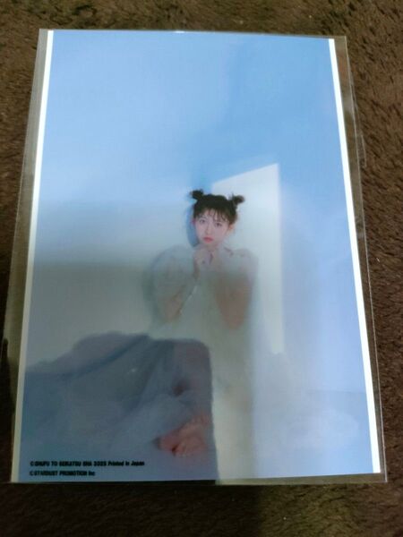 小泉遥香1st写真集 はるのとなり 限定生写真
