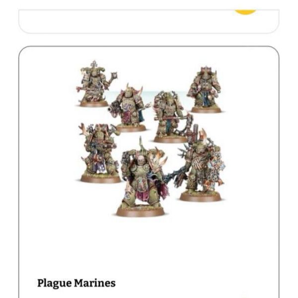 ウォーハンマー WARHAMMER 40k デスガード プレーグマリーン