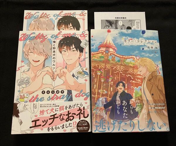 カラーコレクション -PARADE- 芹澤知 特典ペーパー 付き / 俺と野良犬のワルツ きはら記子 アニメイト特典 付き