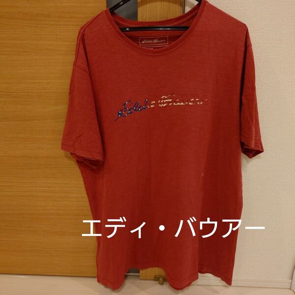 エディ・バウアーTシャツ