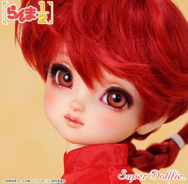 ボークス SD スーパードルフィー らんま 早乙女乱馬 SDGr 本体 フルセット新品