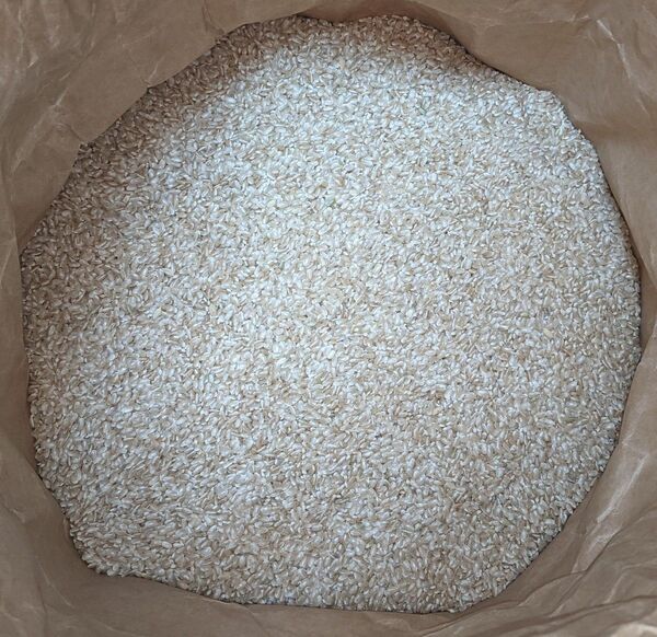 令和5年産 ヒノヒカリ 20kg 玄米