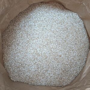 令和5年産 ヒノヒカリ 20kg 玄米
