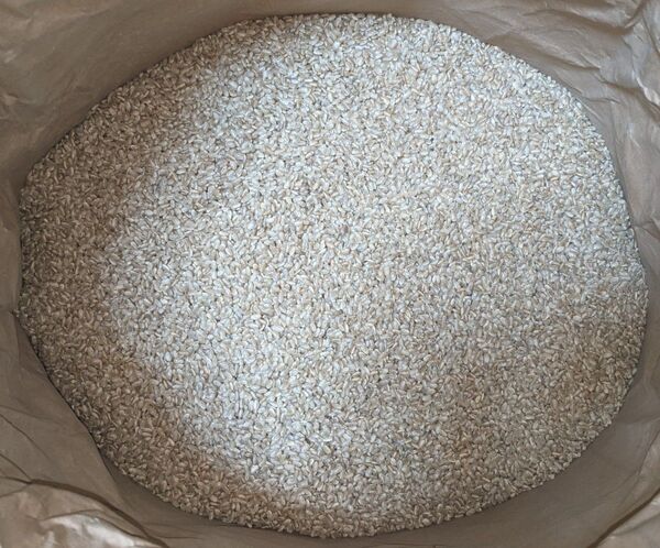令和5年産 コシヒカリ 30kg 玄米