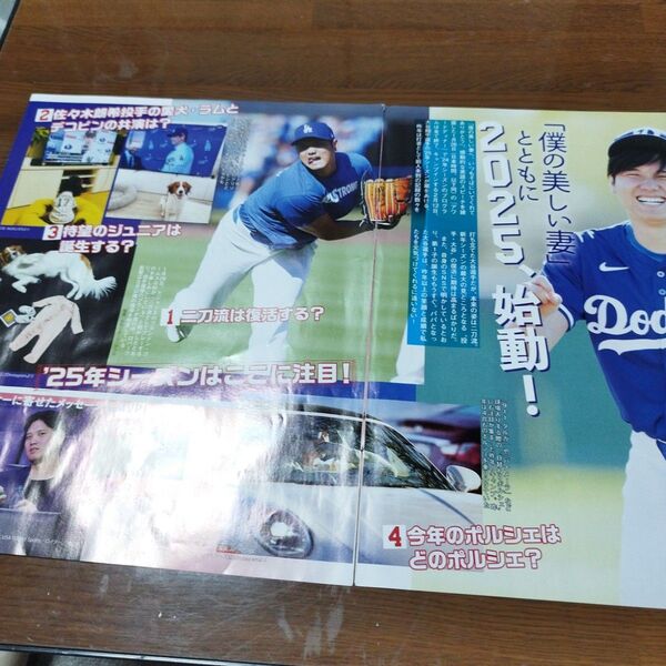 大谷翔平選手とデコピン記事切り抜きセット