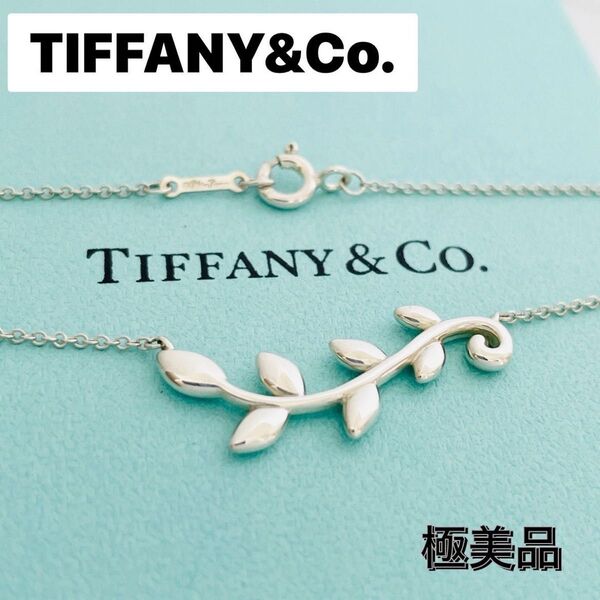 未使用級☆TIFFANY&CO. ティファニー ネックレス オリーブ リーフ ヴァイン シルバー ペンダント SV925 刻印
