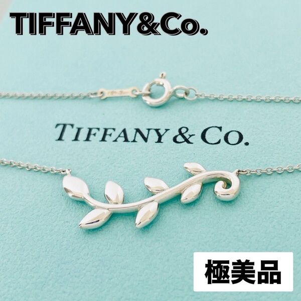 未使用級★TIFFANY&CO. ティファニー オリーブ リーフ ヴァイン ネックレス シルバー ペンダント SV925 刻印