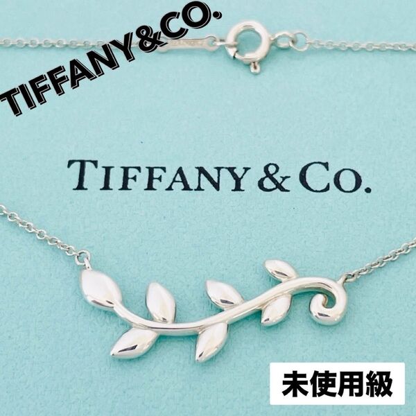 未使用級☆TIFFANY&CO. ティファニー ネックレス オリーブ リーフ ヴァイン ペンダント シルバー SV925 刻印