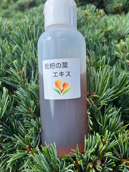 イボも取れた!無農薬ビワの葉エキス 100ml