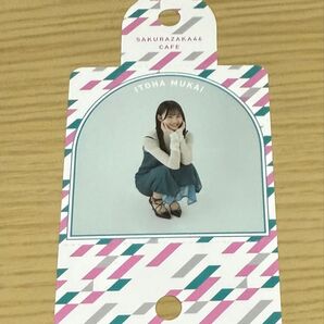 櫻坂46 向井純葉 櫻坂カフェ ストローホルダー