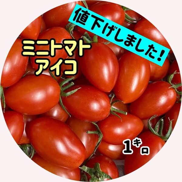 m-39【好評です!】新鮮ミニトマトアイコ1㌔