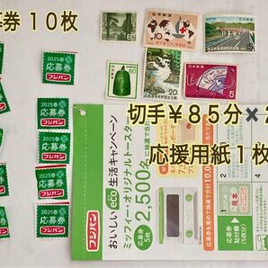 フジパン応援券10枚 ミッフィートースター ミッフィ フジパン応援券切手付き フジパン 応募券 応募 懸賞