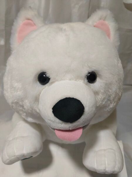 【FANS】サモエドの子犬 ぬいぐるみ XL プレミアム(全1種)1体