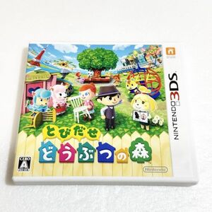 3DS とびだせ どうぶつの森【ソフト認識確認済】 ニンテンドー3DS