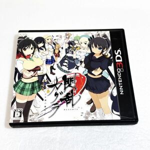 3DS 閃乱カグラ -少女達の真影-【ソフト認識確認済】 ニンテンドー3DS