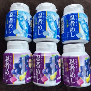 忍者めし たっぷりボトル 6個 ラムネ 巨峰