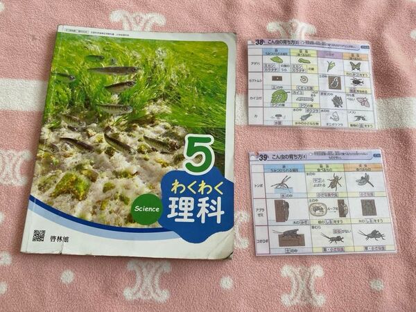 小学5年 理科 教科書 啓林館 おまけ