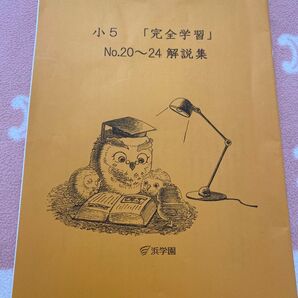 浜学園 小5 「完全学習」 No.20~24 解説集 テキスト