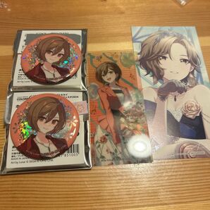 MEIKOグッズ プロセカ