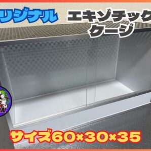 エキゾチックケージ60サイズ ケージ 小動物 爬虫類