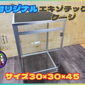 エキゾチックケージ30×45縦長ケージ 小動物 爬虫類