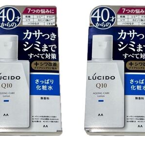 MANDOM マンダム ルシードQ10 薬用トータルケア さっぱり化粧水 無香料 110ml × 2個セット