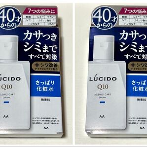 MANDOM マンダム ルシードQ10 薬用トータルケア さっぱり化粧水 無香料 110ml × 2個セット