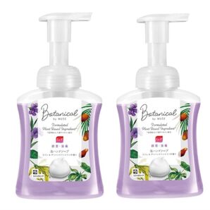 ミューズ 泡ハンドソープ ボタニカル スミレ&グリーンイランイランの香り 本体 250ml ×2