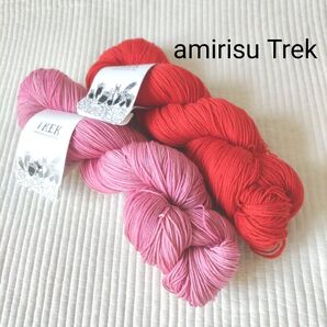 amirisu TREK 2かせ赤ピンク/アミリス/ソックヤーン