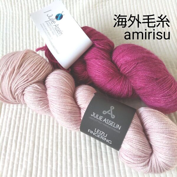 Julie Asselin LEIZU FINGERING 2かせ/amirisu/海外毛糸/手染め毛糸