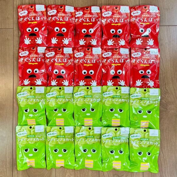 【2種20袋】ニッポンエール ご当地グミ さくらんぼ シャインマスカット ガチャピン ムック 全農 JA