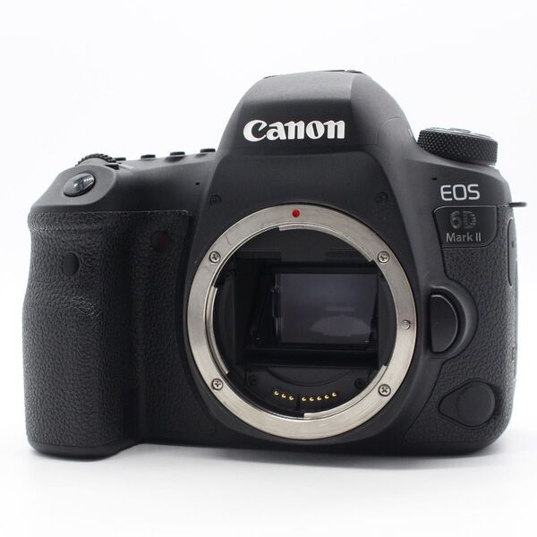 Canon EOS 6D MarkⅡ ボディ ショット数 34175回