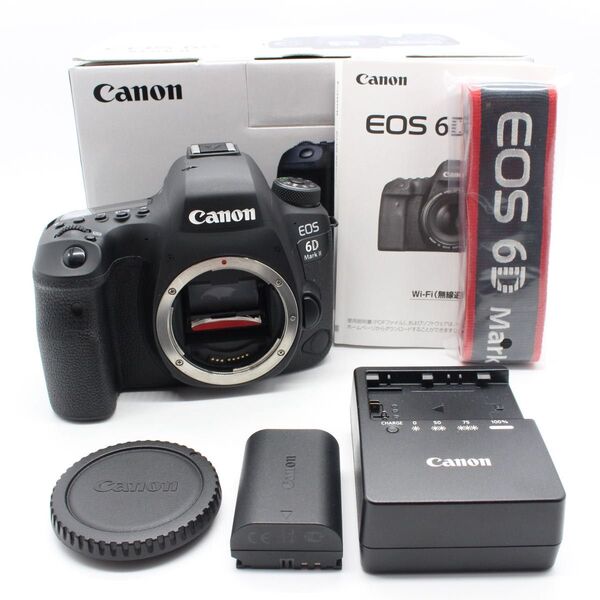 Canon EOS 6D MarkⅡ ボディ ショット数 34175回