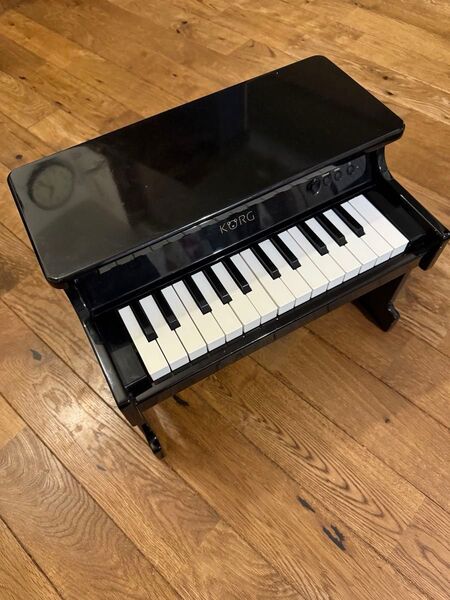 KORG コルグ 鍵盤楽器 電子ピアノ