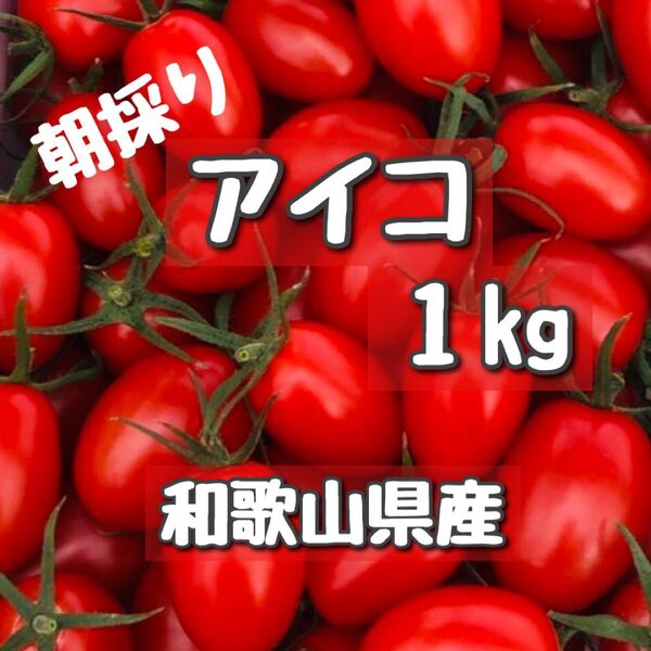 和歌山県産ミニトマトアイコ
