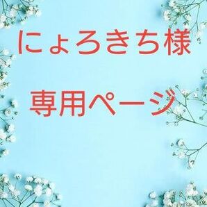 にょろきち様専用ページ