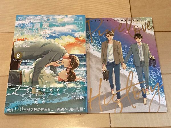 特装版 30歳まで童貞だと魔法使いになれるらしい 8巻 小冊子付き 豊田悠