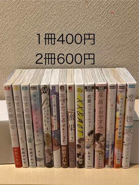 BLコミック1冊400円,2冊600円【同梱可能であれば3冊700円,4冊800円】中田アキラ、アヒル森下 他