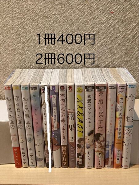 BLコミック1冊400円,2冊600円【同梱可能であれば3冊700円,4冊800円】中田アキラ、アヒル森下 他