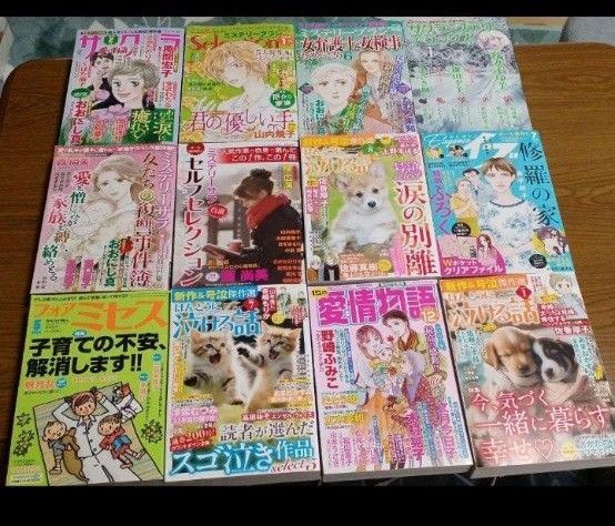 レディースコミック12冊セット