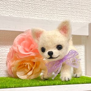 羊毛フェルト チワワ ホワイト