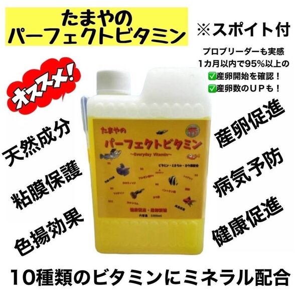 【GMめだか】たまやのパーフェクトビタミン1000ml ※メダカ健康 繁殖 産卵 促進 ミネラル 粘膜保護 病気予防 色揚効果