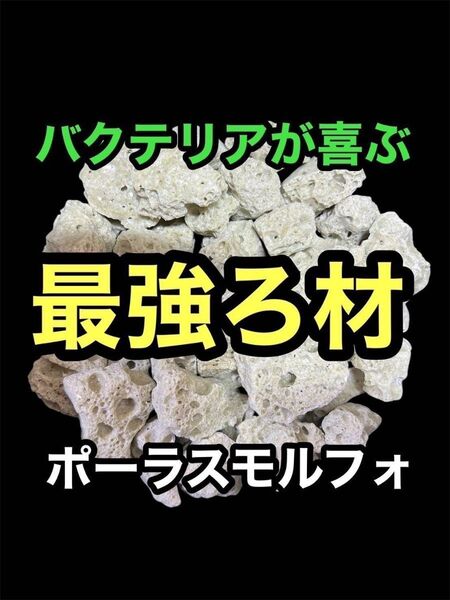 【GMめだか】最強ろ材 ポーラスモルフォ お試し 1kg→バクテリア 水質浄化 安定 濾過 濾材メダカ らんちゅう 金魚 錦鯉